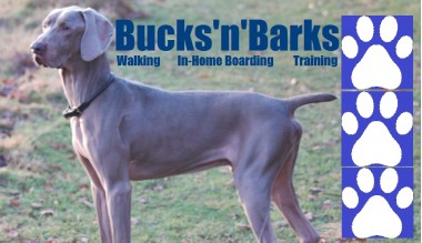 Bucks 'n' Barks